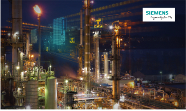 Functional Safety for the Process Industry rsikk01